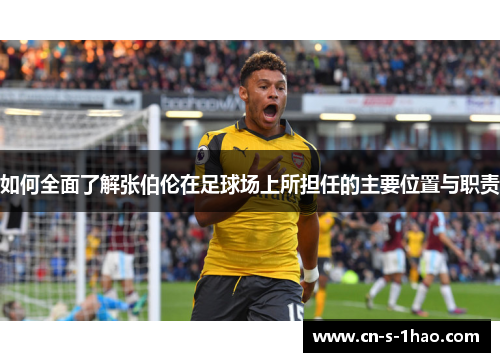 如何全面了解张伯伦在足球场上所担任的主要位置与职责