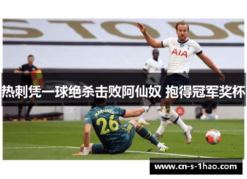 热刺凭一球绝杀击败阿仙奴 抱得冠军奖杯