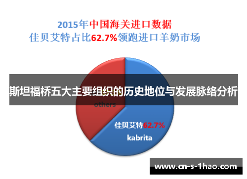 斯坦福桥五大主要组织的历史地位与发展脉络分析
