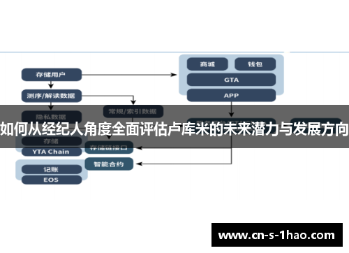 如何从经纪人角度全面评估卢库米的未来潜力与发展方向 如何从经纪人角度全面评估卢库米的未来潜力与发展方向