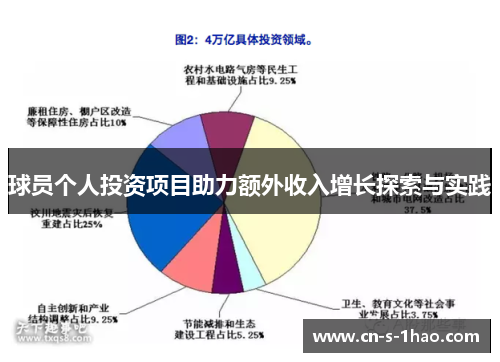 球员个人投资项目助力额外收入增长探索与实践 球员个人投资项目助力额外收入增长探索与实践