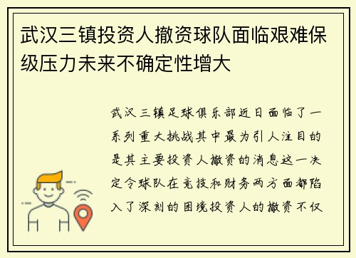 武汉三镇投资人撤资球队面临艰难保级压力未来不确定性增大 武汉三镇投资人撤资球队面临艰难保级压力未来不确定性增大